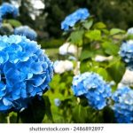 800AV凹凸视频在线观看 4cn00