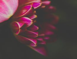 1qxy8