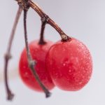 原神内爆吧:探讨游戏机制与角色搭配的终极指南 ieuwb2