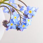 上老王论坛当老王网站:畅享交流与分享的乐趣与智慧 ztuel22