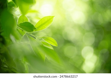 探索akt vicinekocim的奥秘与应用 探索akt vicinekocim的奥秘与应用