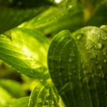 探索最新的Age动漫app下载,畅享精彩动漫世界 i1j3jmu
