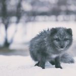 探索名字背后的深刻含义与文化象征 nv8ro